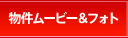 ʪ��ࡼ�ӡ����ե���