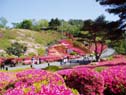 ���졦����������ĤĤ��פ�