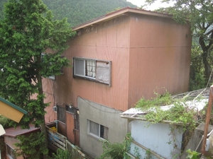 ʿ������ǯ������ʪ��