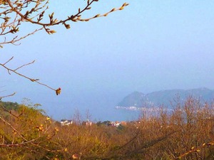 市街地、海、初島、大島、花火大会を望む<br>熱海リゾート