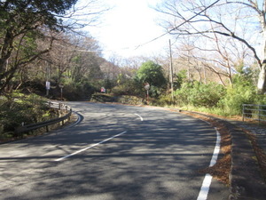 道上平坦地。陽当りも良好です<br>仙石原_不動産
