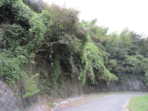 Ǯ��������