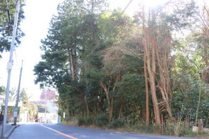 大室高原別荘地_広い敷地の高台に建つ戸建<br>伊東不動産