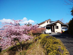 真鶴町岩_本格和風邸宅<br>真鶴不動産