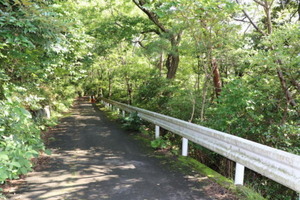 伊豆急伊豆高原地区_平家建<br>伊東不動産