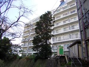 丘の上にある海が見えるマンション