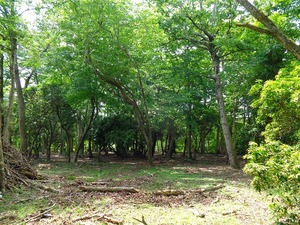 仙石原春山荘_売土地<br>箱根土地